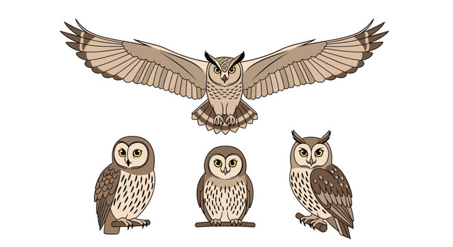 Beautiful set of owl illustrations features one bird in flight with spread wings and three others perched calmly in a detailed artistic style.