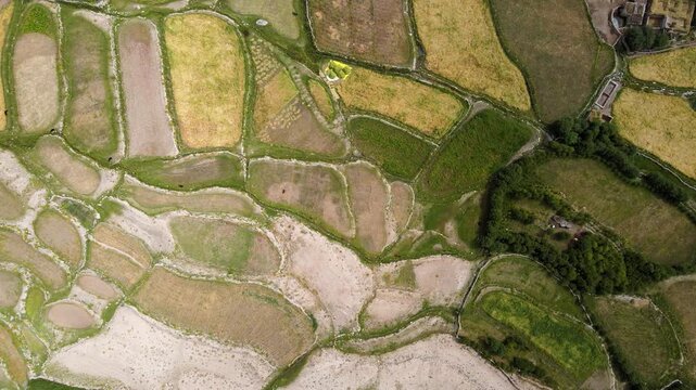 Aerial top view of agricultural fields in Leh Ladakh India Patchwork agricultural fields in Ladakh aerial drone view