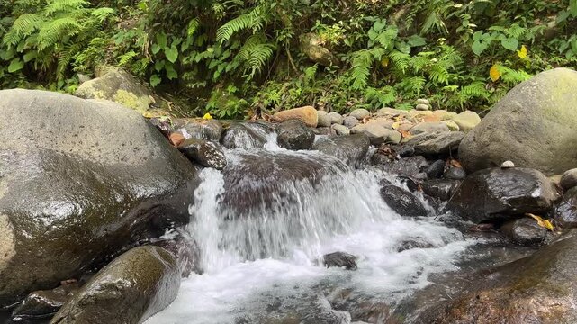 Tropical forest stream flowing over natural rocks 17