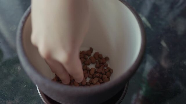 Gardener putting clay pebbles at the bottom of ceramic vase for repotting