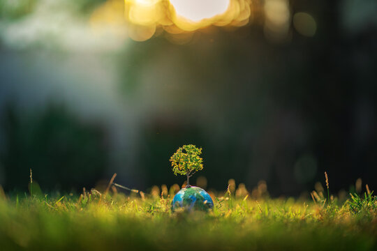 Small tree growing on mini earth globe in green grass at golden sunset, symbol of environmental conservation, climate change awareness, sustainable development, eco friendly future, planet protection