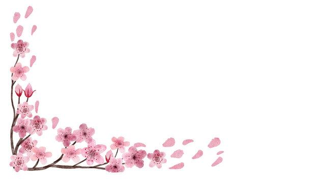 Japan Sakura Cherry Blossom Floral Pattern Decorative Illustration