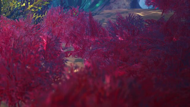 The scene shows a coral reef underwater with vibrant red sea plants. Bright sunlight filters through the water, creating shadows and highlighting the plants&rsquo; details.