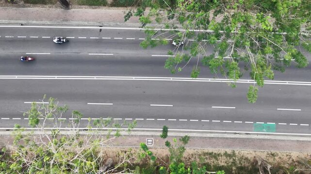 Aerial View of Tropical Highway with Lush Green Rain Trees