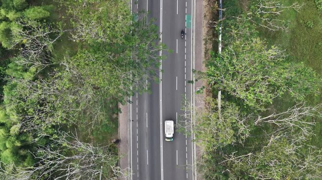 Aerial View of Tropical Highway with Lush Green Rain Trees