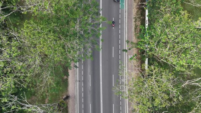 Aerial View of Tropical Highway with Lush Green Rain Trees