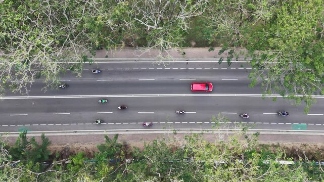 Aerial View of Tropical Highway with Lush Green Rain Trees