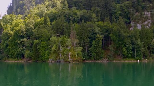 Blick auf das Ufer am Kochelsee bei Raut, Alpenvorland, Blaues Land, Kochel, Oberbayern, Bayern, Deutschland