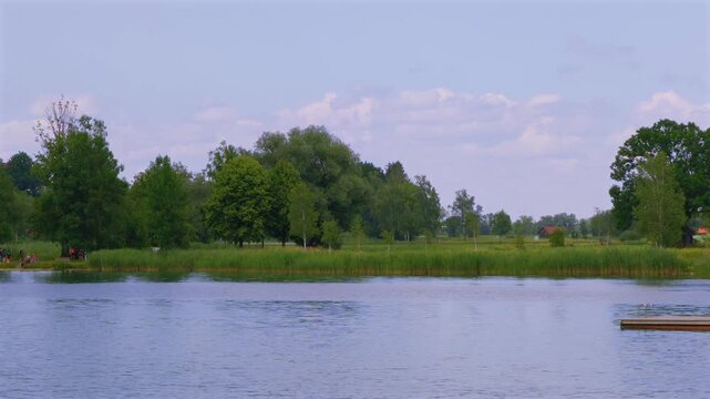 Blick auf das Ufer am Kochelsee bei Schlehdorf, Alpenvorland, Blaues Land, Kochel, Oberbayern, Bayern, Deutschland