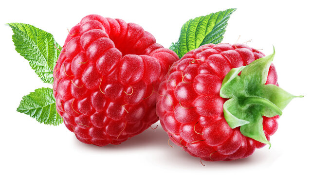 Pair of juicy ripe raspberries with leaves isolated on transparent background.