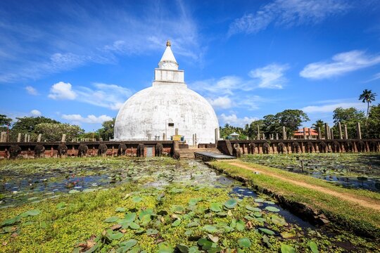 Ancient White Stupa and Lotus Pond in Polonnaruwa, Sri Lanka