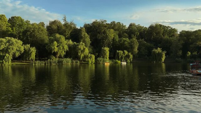 Calm lakeside panorama with willow trees, small leisure boats, soft ripples, and warm sunlight across dense green shoreline, with lake, water, forest, tree detail