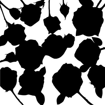 Collection of twelve black roses with intricate details, arranged in a scattered composition on a white background, showcasing various stages of bloom from fully open to bud form. The roses are dep...