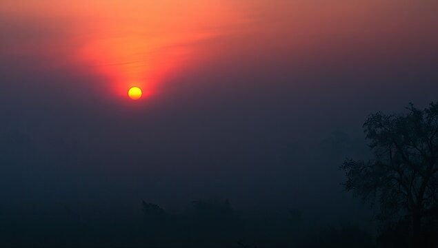 Vibrant sunrise pierces foggy horizon, casting warm hues over a silhouetted landscape