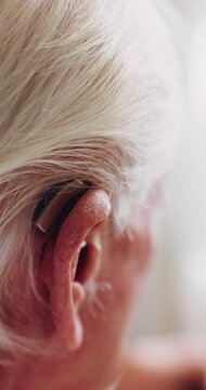 Hands, old man and ear in home with hearing aid, auditory support and implant prescription for audio. Closeup, deaf and senior person with disability, cochlear device and medical innovation for sound