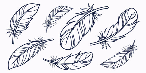 Black and white feather set of fifty individual feather feathers collection © Mamun