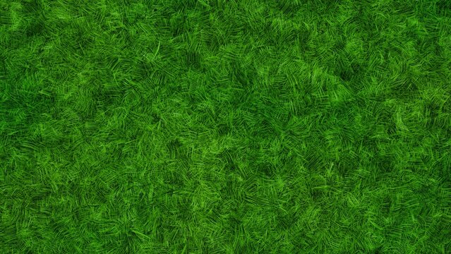 Lush green grass texture background with dense natural turf surface
