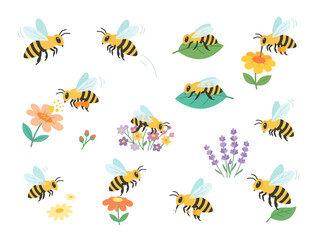 Fototapeta premium Collection of cute cartoon honey bees flying and landing on colorful flowers and green leaves.