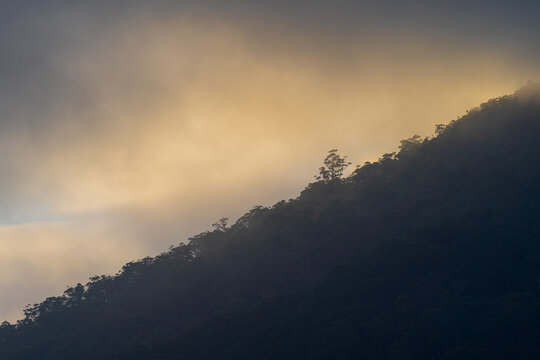 Aerial view of a trees on a, mountain side silhouetted against a golden glowing cloud