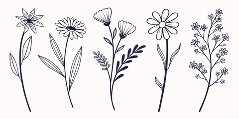 Set of 30 dried flower bouquets on white background, including daisies, lavender, and eucalyptus dried flowers © Mamun