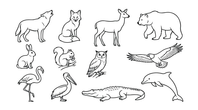 Minimalist wild animal line art icons, set of 12 wildlife vector illustrations, black and white forest and safari animal outlines for coloring
