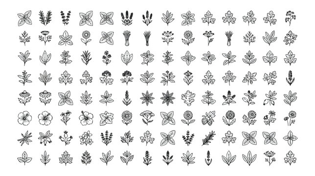 Minimalist floral icons set, botanical line art collection of 112 leaf and flower symbols, black and white nature vector graphics for branding isolated PNG with Transparent Background