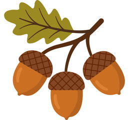Autumn acorns on a branch with oak leaf  © soraya