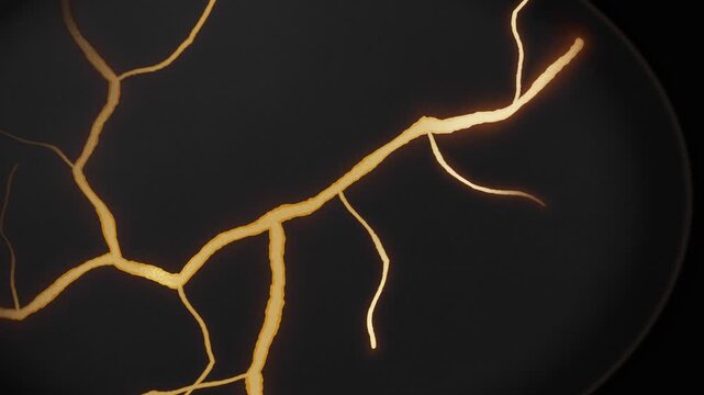 Golden kintsugi cracks on dark ceramic object (Looped animation)