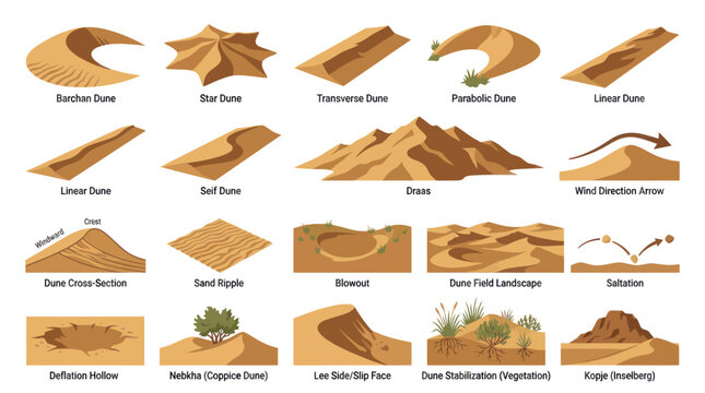 Dune Types Illustration: Desert Landscape Forms in Flat Vector Art Style