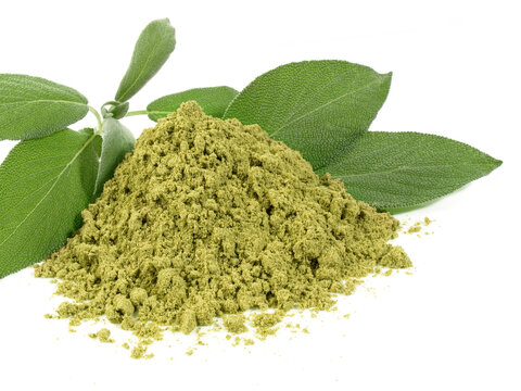Food and Health - Fresh Sage with Sage Powder isolated on white Background