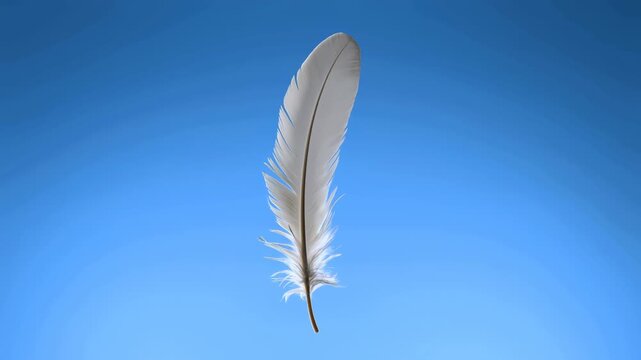 Single white feather rotating in profile against soft gradient blue sky, with downy base, fine barbs, bright highlights, calm minimal look and clean airy isolation
