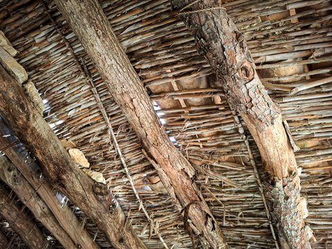Handmade eco friendly roof interior with wooden beams and dry bamboo in natural setting