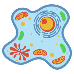 Naklejka premium Illustration of Animal Cell Structure