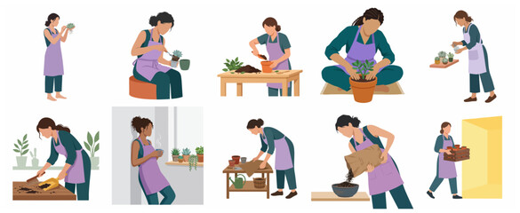 Fototapeta premium Set of flat illustrations depicting women enjoying gardening hobbies, potting succulents, and caring for indoor plants.