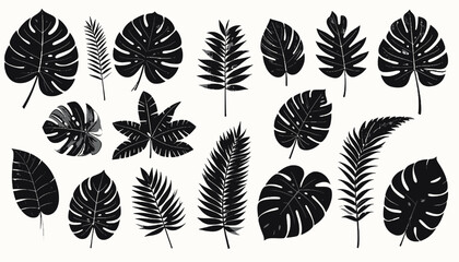 Collection of various tropical leaf silhouettes. © ikhsan