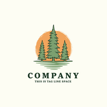 Vintage pine trees logo with sun for outdoor brand