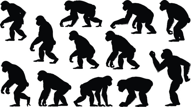 Gorilla silhouette collection diverse poses for graphic design and illustration