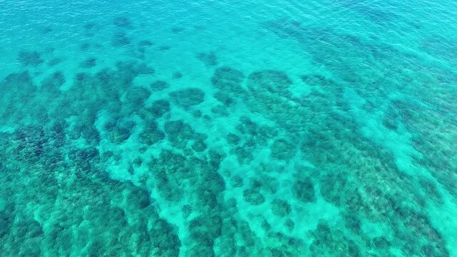 Aerial view of crystal clear turquoise ocean water and coral reef in Hawaii