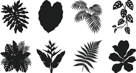 Set of black silhouettes featuring various tropical leaves, exotic foliage, palm fronds, and jungle plant icons for design © MDMORSALIN