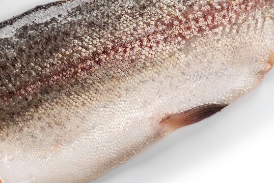 Raw trout red fish fillet, fish skin texture isolated on white background. Cooking sea food. Healthy eating concept, Mediterranean cuisine 