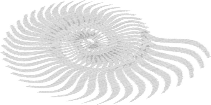 Close-up of intricate fingerprint pattern showing detailed ridge and valley structures
