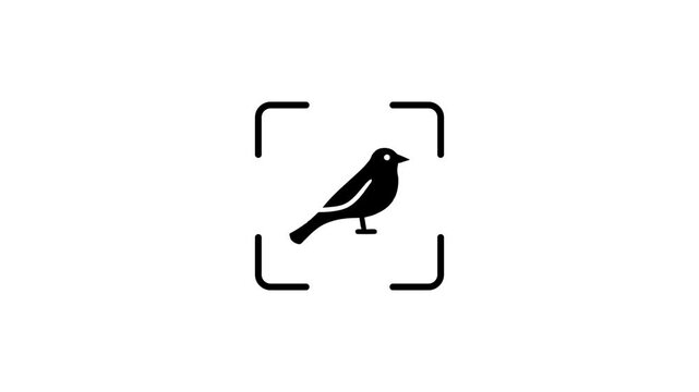 Digital bird scanning process animation with tracking square and laser line sensor identifying wildlife silhouette icon.