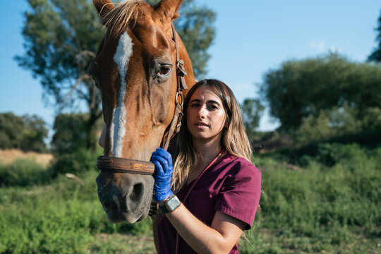 Female veterinarian treating a horse outdoors in a rural setting