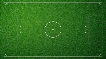 Naklejka premium soccer field with grass