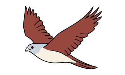 Fototapeta premium Minimalist line art of a falcon in flight with outstretched wings and sleek contour lines isolated on a white background, animal wildlife design concept
