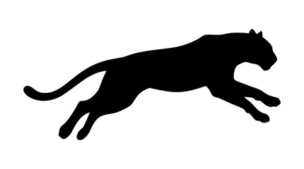 Running panther silhouette vector illustration featuring a powerful leaping wild cat cheetah cougar puma or black jaguar side view shape © Salma