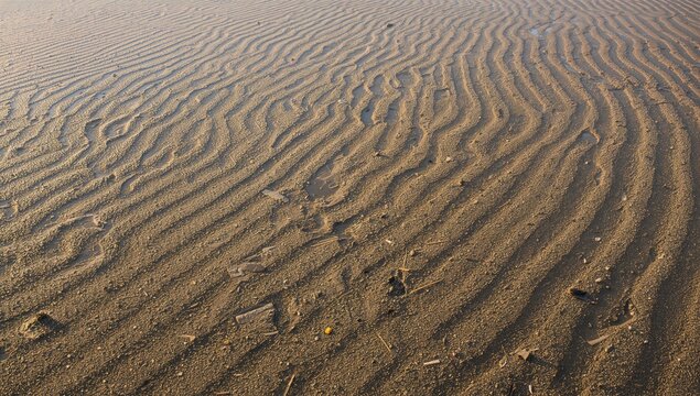 Rippling Sand Patterns at Low Tide on a Beach with Soft Light