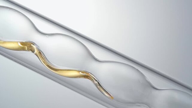 Macro video of pure golden liquid flowing in glass condenser tube, medical science chemistry lab cosmetic skincare serum distillation