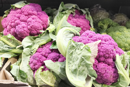 Fresh purple cauliflower heads are displayed at a local market. A vibrant organic vegetable with green leaves, rich natural color, and a healthy eating concept for farm produce and cooking.
