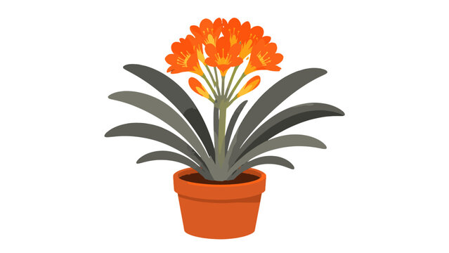 Potted orange flowering houseplant vector illustration